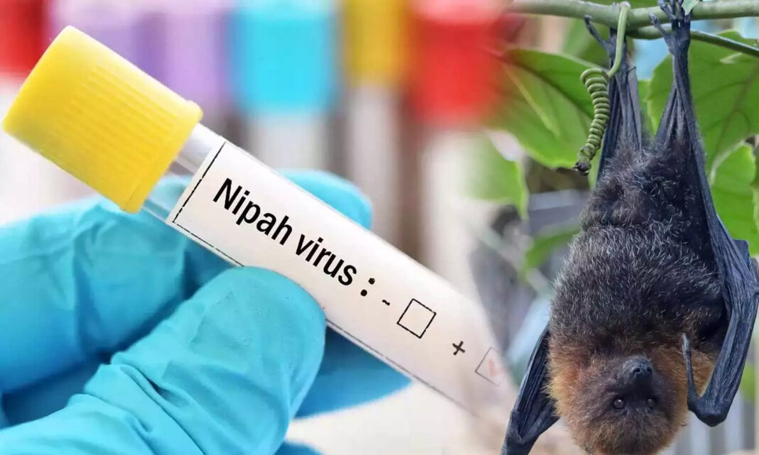 നിപ: പ്രതിരോധനടപടികളുമായിആരോഗ്യവകുപ്പ്; കോഴിക്കോട്, മലപ്പുറം,പാലക്കാട് ജില്ലകളിൽ ജാഗ്രത