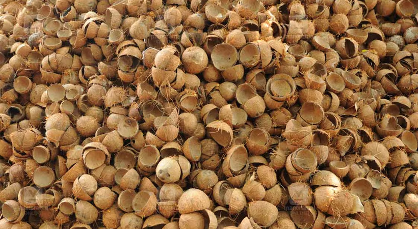 തേങ്ങയ്ക്കും വെളിച്ചെണ്ണയ്ക്കും മാത്രമല്ല, ചിരട്ടയ്ക്കും പൊള്ളും വില!