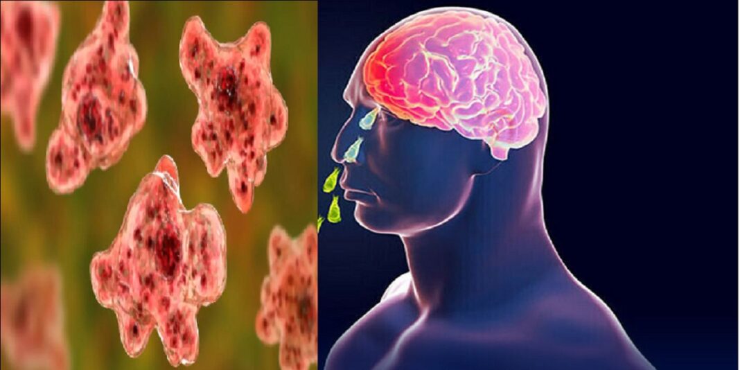 അമീബിക്ക് മസ്തിഷ്ക ജ്വര പരിശോധന: എടുക്കാറുള്ളത് സ്വഭാവിക സമയം മാത്രം, മറിച്ചുള്ള പ്രചാരണം തെറ്റ്; ആരോപണങ്ങള്ക്ക് മറുപടിയുമായി പബ്ലിക് ഹെല്ത്ത് ലാബ്