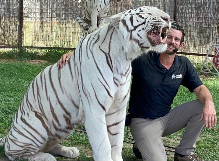 ഒക്ലഹോമയിലെ ഗ്രൗളർ പൈൻസ് ടൈഗർ പ്രിസർവിൽ റയാൻ ഈസ്ലി,കടുവയുടെ ആക്രമണത്തിൽ കൊല്ലപ്പെട്ടു