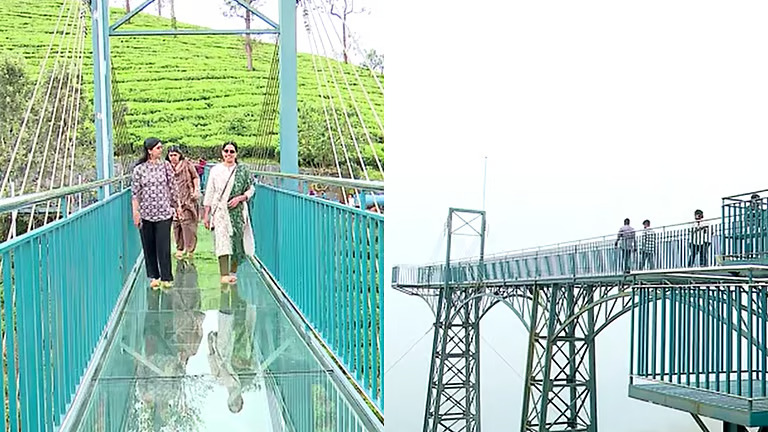അതിജീവനത്തിൻ്റെ ടൂറിസം; അട്ടമലയിലെ കണ്ണാടി പാലം സഞ്ചാരികൾക്കായി തുറന്നു