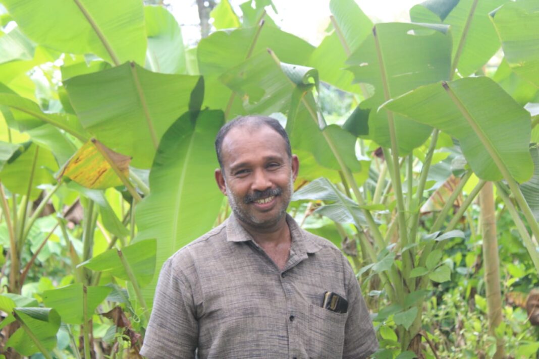 വാഴയിലയിൽ നിന്ന് ജീവിതവിജയം; വിദേശത്ത് നിന്ന് എത്തി കർഷകനായ പ്രവാസി