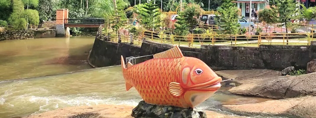 പ്രകൃതിയുടെ ഹൃദയത്തിൽ ഒരു സുന്ദര കാഴ്ച –കൊട്ടാരക്കര മീൻപിടിപ്പാറ