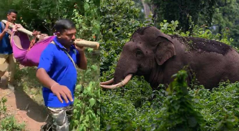 ‘കാട്ടാന ശല്യത്തിന് പരിഹാരമുണ്ടാക്കാതെ പോസ്റ്റ്മോർട്ടം അനുവദിക്കില്ല’; അട്ടപ്പാടിയിൽ വൻ പ്രതിഷേധം