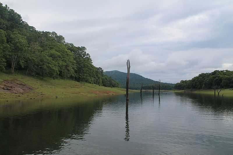 കേരളത്തിലെ നദികളിൽ ജലപ്രവാഹം കുറയുന്നു; 38 നദികളിൽ നടത്തിയ പഠനത്തിൽ ഒഴുക്കുള്ളത് മൂന്നെണ്ണെത്തിൽ മാത്രമെന്ന് CWRDM റിപ്പോർട്ട്