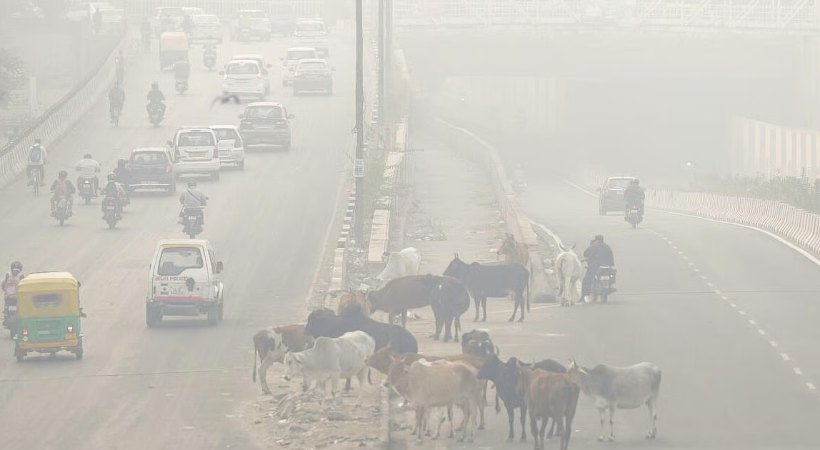 ഡല്ഹിയില് വായുഗുണനിലവാരം അതീവ ഗുരുതരം; വാഹനത്തിരക്ക് കുറയ്ക്കാന് ജീവനക്കാരുടെ ഷിഫ്റ്റ് സമയ മാറ്റം 15 മുതല്