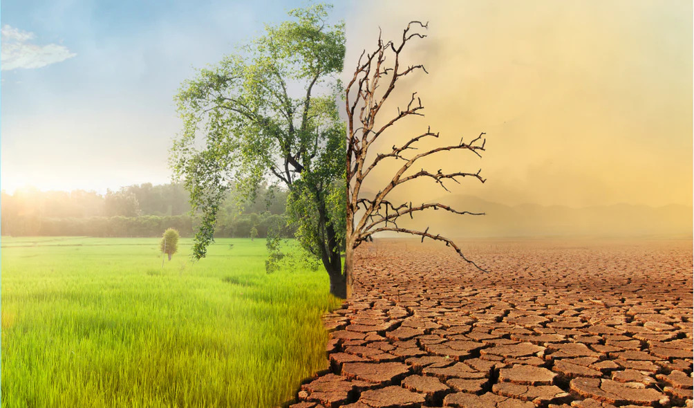 കാലാവസ്ഥാ പ്രതിസന്ധി; മരണസംഖ്യ വർധിപ്പിക്കുമെന്ന് റിപ്പോർട്ട്