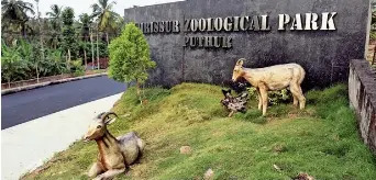 പുത്തൂര് സുവോളജിക്കല് പാര്ക്കില് പത്തിലധികം മാനുകള് ചത്ത നിലയില്; തെരുവുനായ ആക്രമണമെന്ന് സംശയം