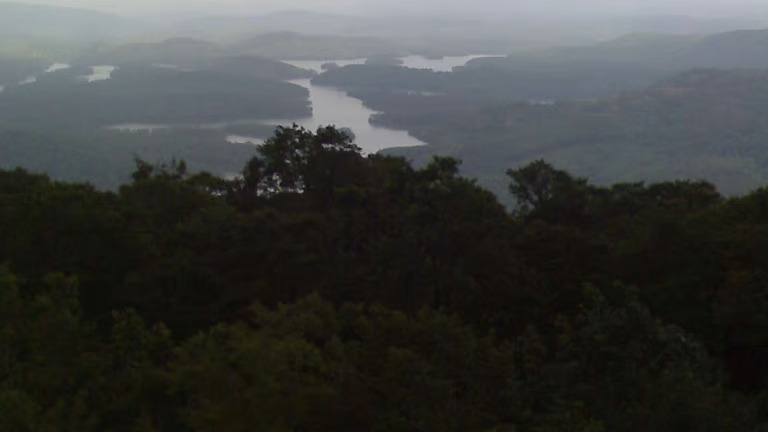കടുവാ സെൻസസിനായി ബോണക്കാട് ഉൾവനത്തിലേക്ക് പോയ മൂന്ന് ഉദ്യോഗസ്ഥരെ കാണാനില്ല; തെരച്ചിൽ ഊർജിതം