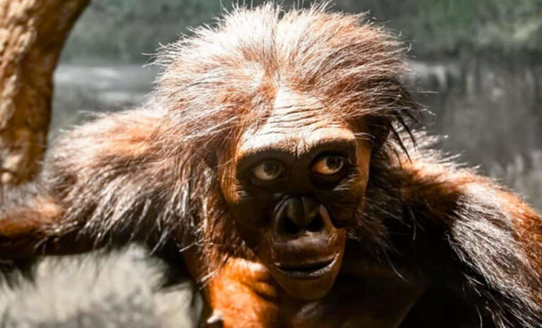 മനുഷ്യ പരിണാമം: ‘ലൂസി’യുടെ സിംഹാസനം ഇളകുന്നു; എത്യോപ്യയിൽ പുതിയ കണ്ടെത്തൽ