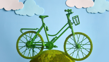 സൈക്കിൾ ചവിട്ടാൻ പഠിച്ച കഥ: ഒരു കുഞ്ഞുചോദ്യവും പവിത്രമായ ഓർമ്മകളും