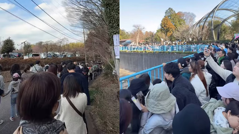 പഞ്ചിനെ കാണാൻ തിങ്ങിനിറഞ്ഞ് ആളുകൾ