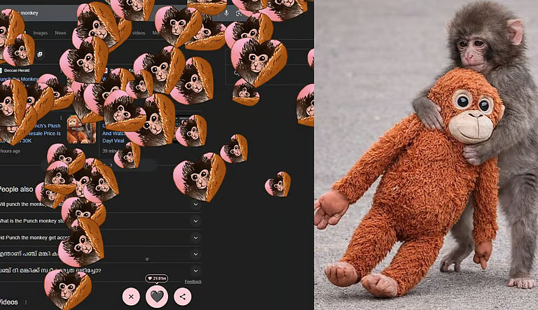 പഞ്ച് ദ മങ്കി: തരംഗമായി ഗൂഗിള് ഡൂഡിലില് ബേബി പഞ്ച്