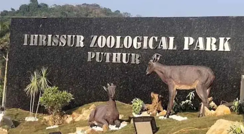 ‘പുത്തൂര് സുവോളജിക്കല് പാര്ക്കിലേക്ക് ഫെബ്രുവരി 28 മുതല് പൊതുജനങ്ങള്ക്കും പ്രവേശനം’; മന്ത്രി കെ. രാജന്