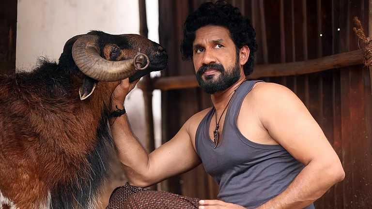 കെടാ സണ്ടൈ ആസ്പദമാക്കി ഒരുക്കിയ ‘ജോക്കി’; ഒടിടി സ്ട്രീമിങ് ആരംഭിച്ചു