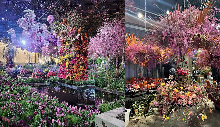 കണ്ണിന് കുളിര്മയേകുന്ന വര്ണവിസ്മയം; 197-ാം വര്ഷത്തിലേക്ക് കടക്കുന്ന ഫിലാഡല്ഫിയ ഫ്ളവര് ഷോ