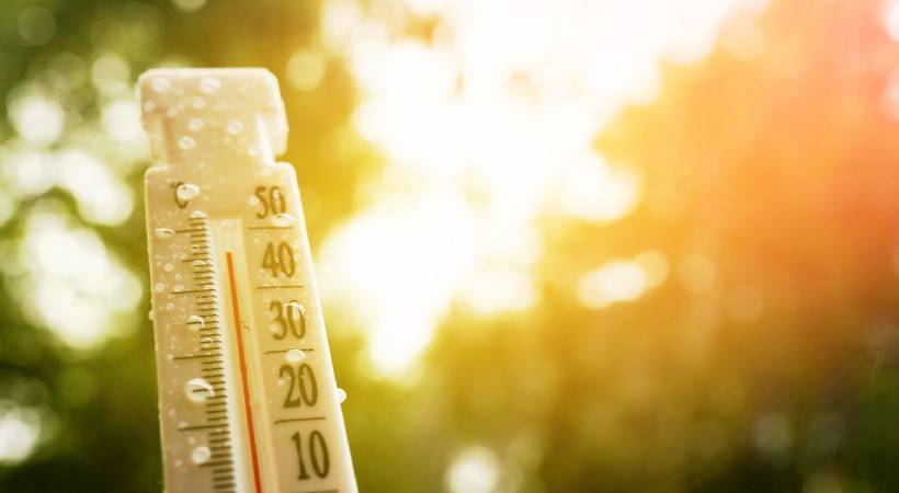 കനത്ത ചൂടിൽ വാടി തളർന്ന് കേരളം; 12 ജില്ലകളിൽ യെല്ലോ അലർട്ട്