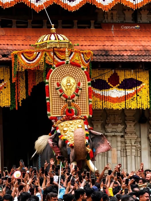 ഹ്യൂസ്റ്റൺ പൂരം മാറ്റിവെച്ചു: പുതുക്കിയ തീയതി മെയ് 16