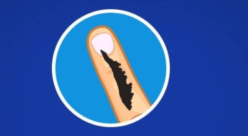 വിധിദിനം: കേരളം ആര് ഭരിക്കും; വോട്ടെണ്ണൽ ഇന്ന്